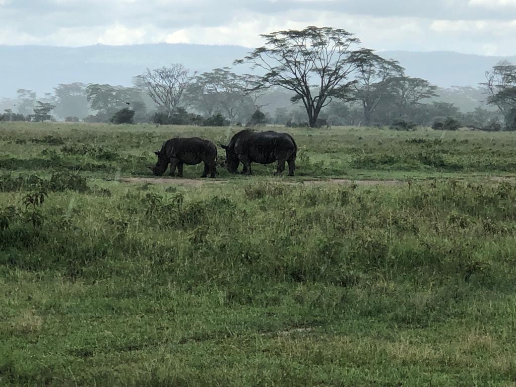 Academic Field Trips Broaden Students’ Horizons